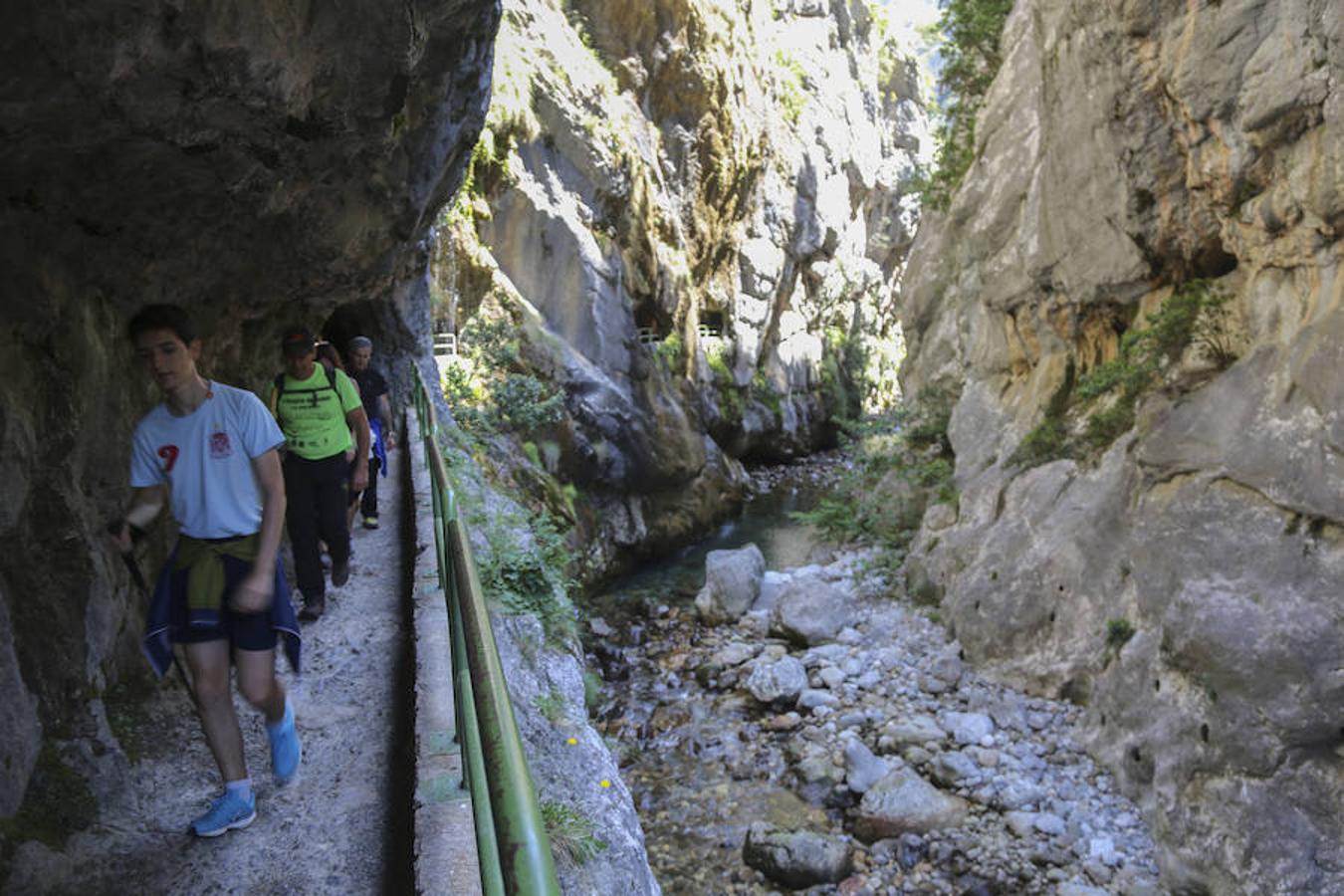 Picos (increíbles) de Europa