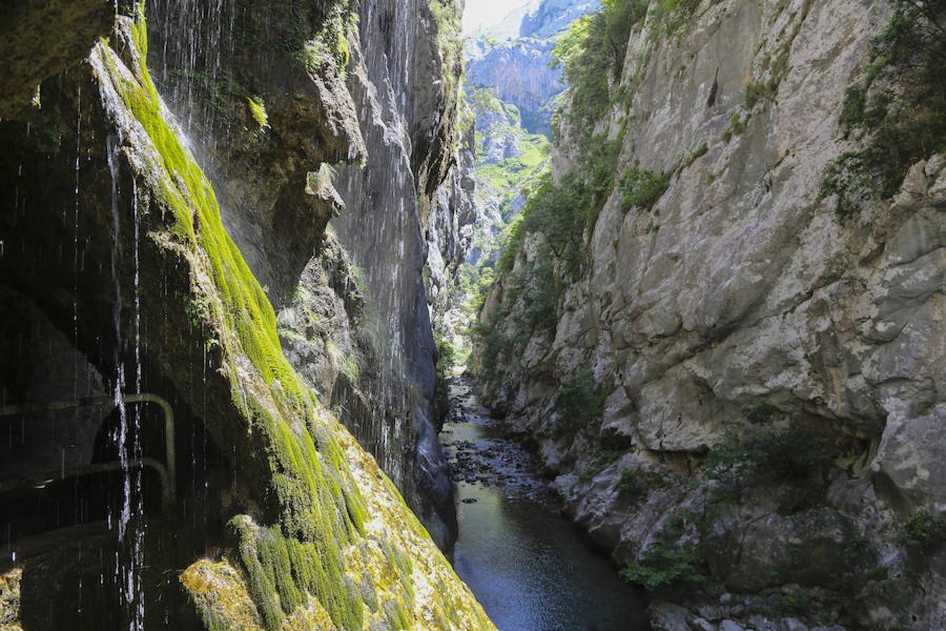 Picos (increíbles) de Europa