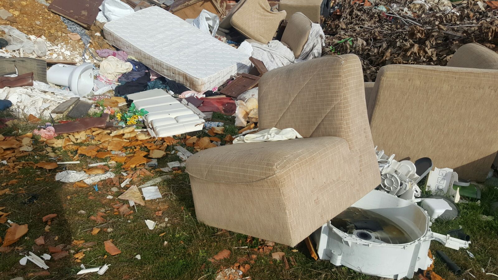 Hallazgo «macabro»en Burgo Ranero