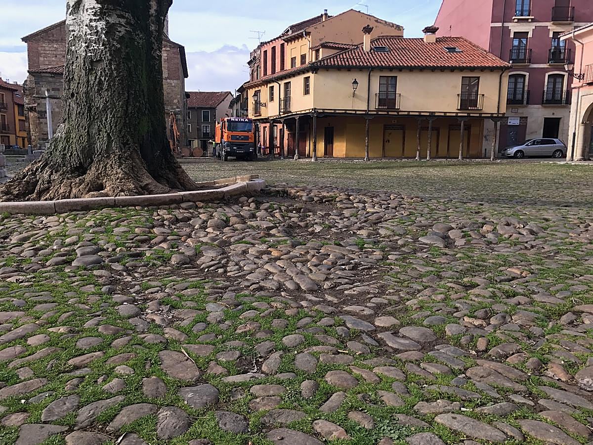 La Plaza del Grano cambia de piel
