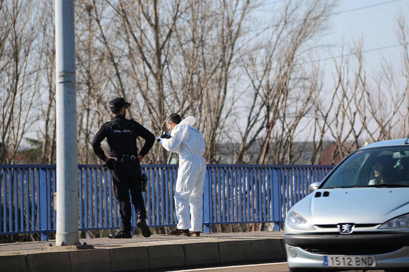 Triste final para la búsqueda de Iván