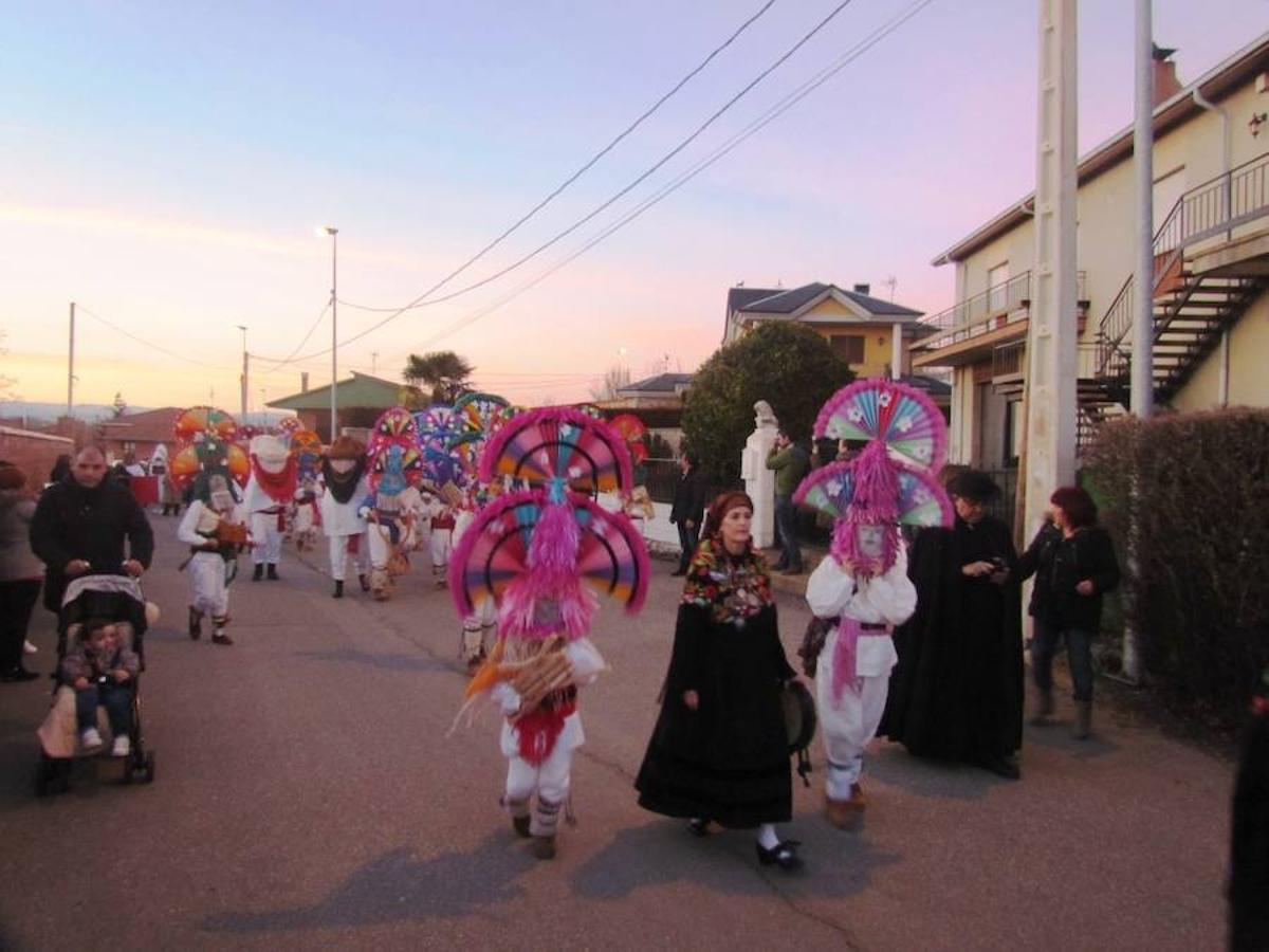 Los guirrios reinan en Cimanes