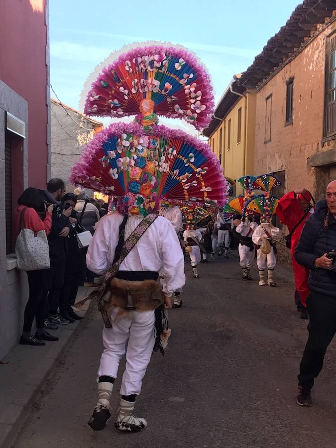 Los guirrios las lían en Llamas