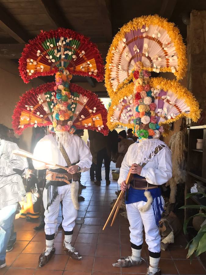 Los guirrios las lían en Llamas