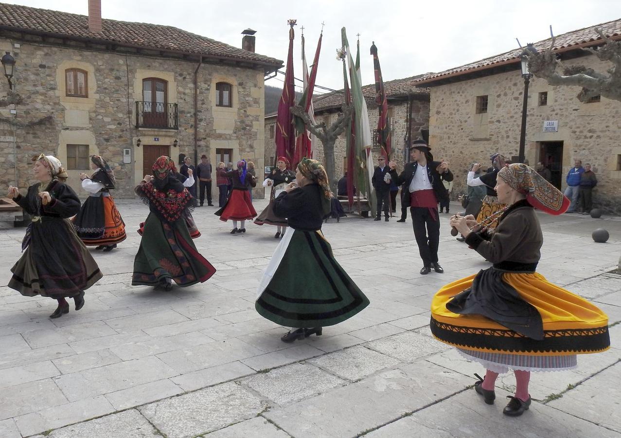 Gallos únicos, moscas únicas