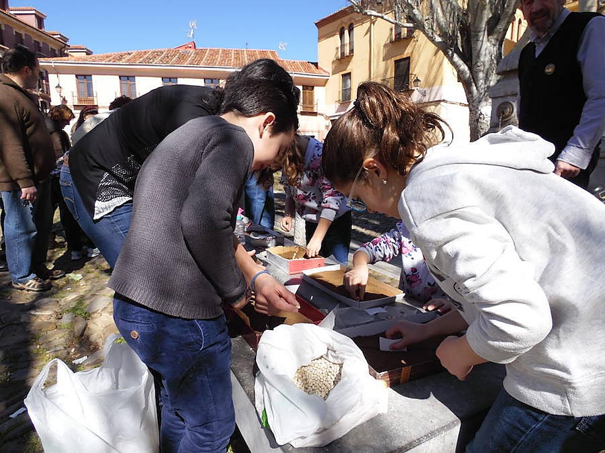 Los niños toman la Plaza del Grano