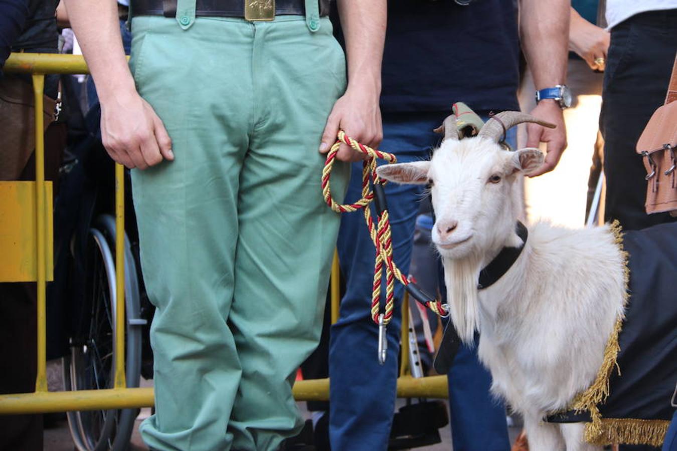 El sol arropa el Sábado de Pasión