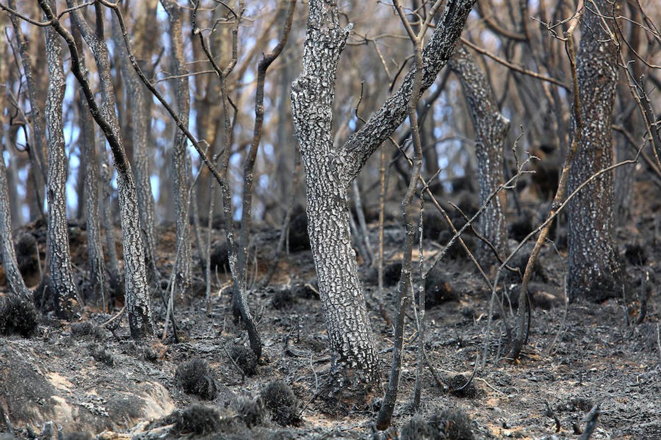 Suárez-Quiñones visita el incendio de Bouzas