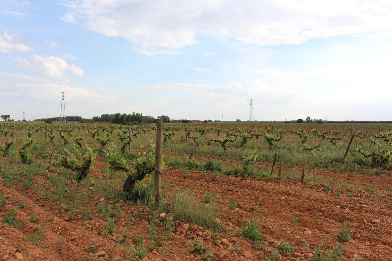 Cuarta generación, la misma pasión