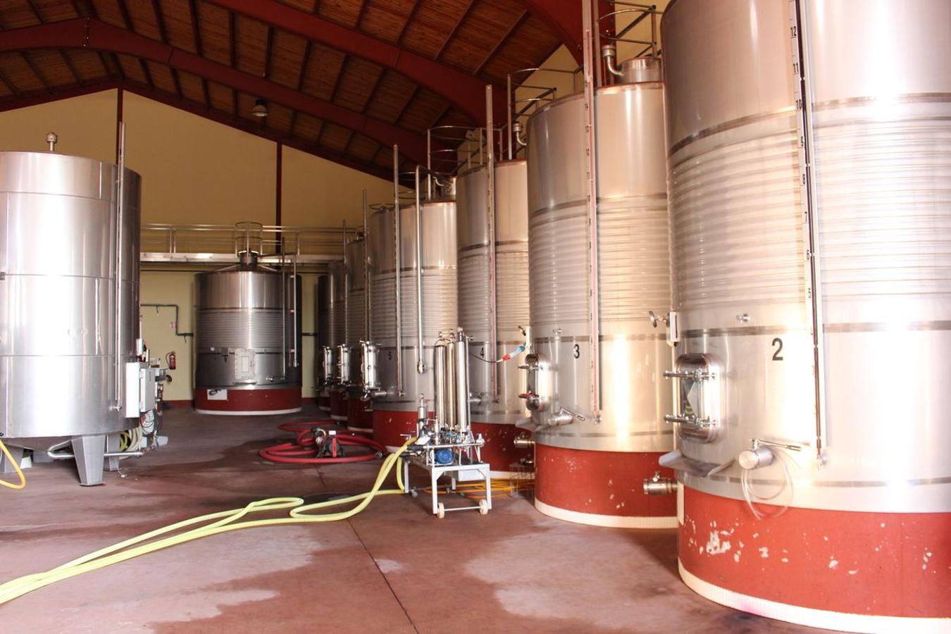 Cuarta generación, la misma pasión