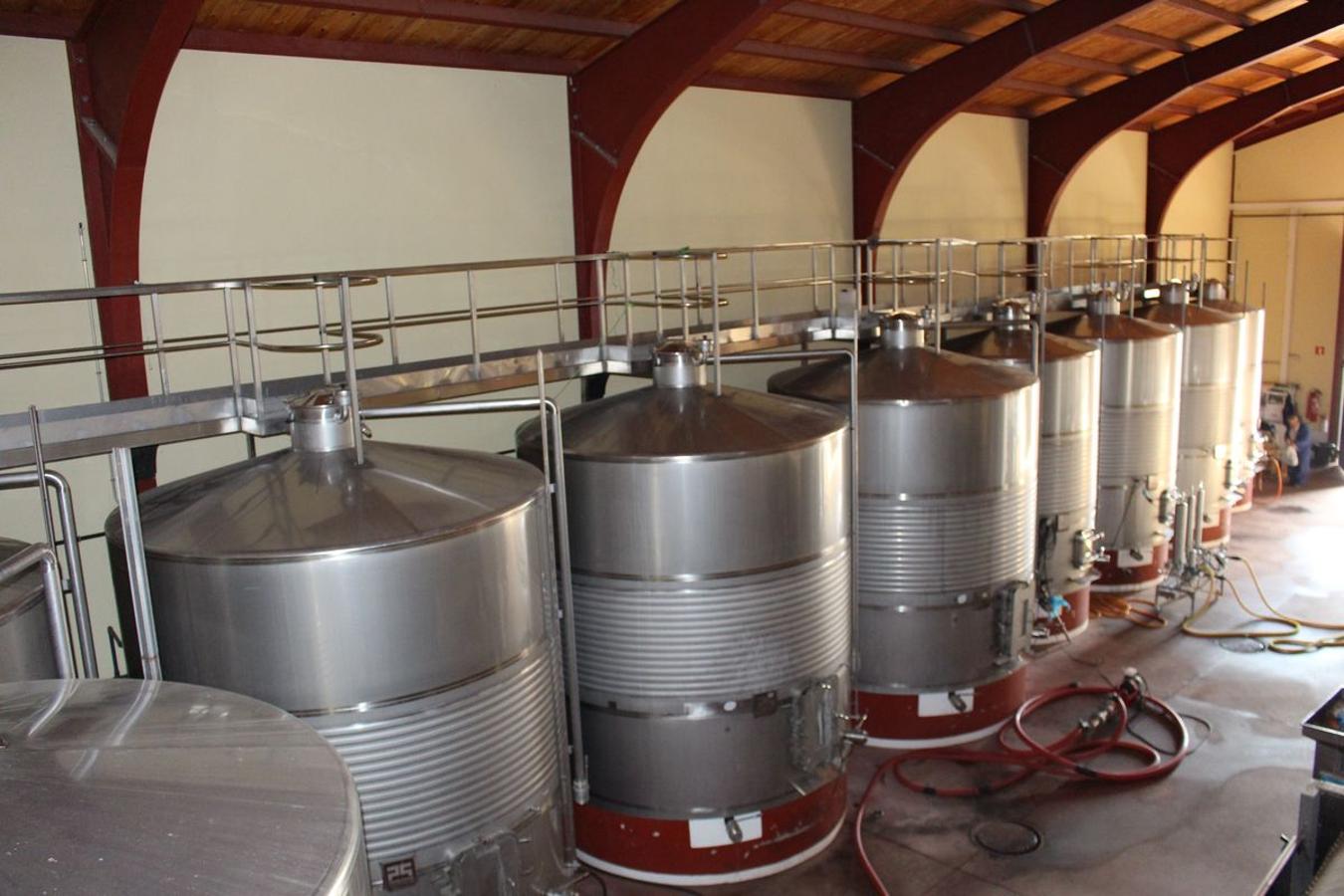 Cuarta generación, la misma pasión