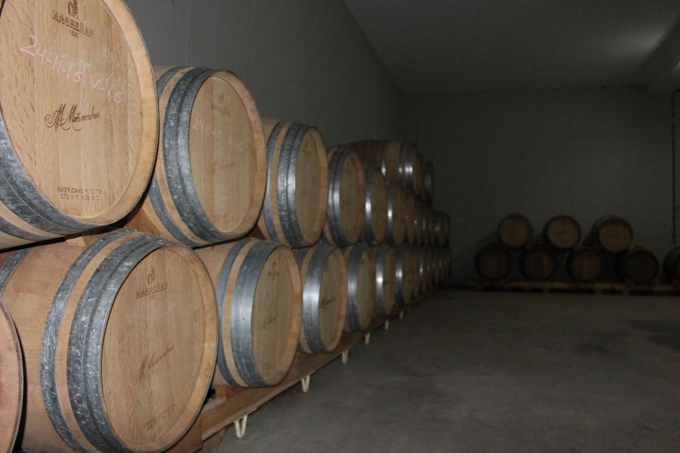 Cuarta generación, la misma pasión