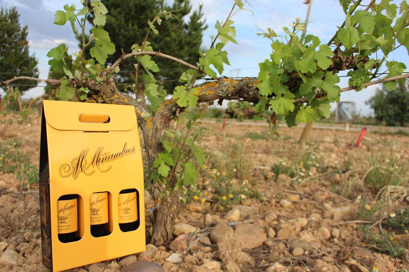 Cuarta generación, la misma pasión