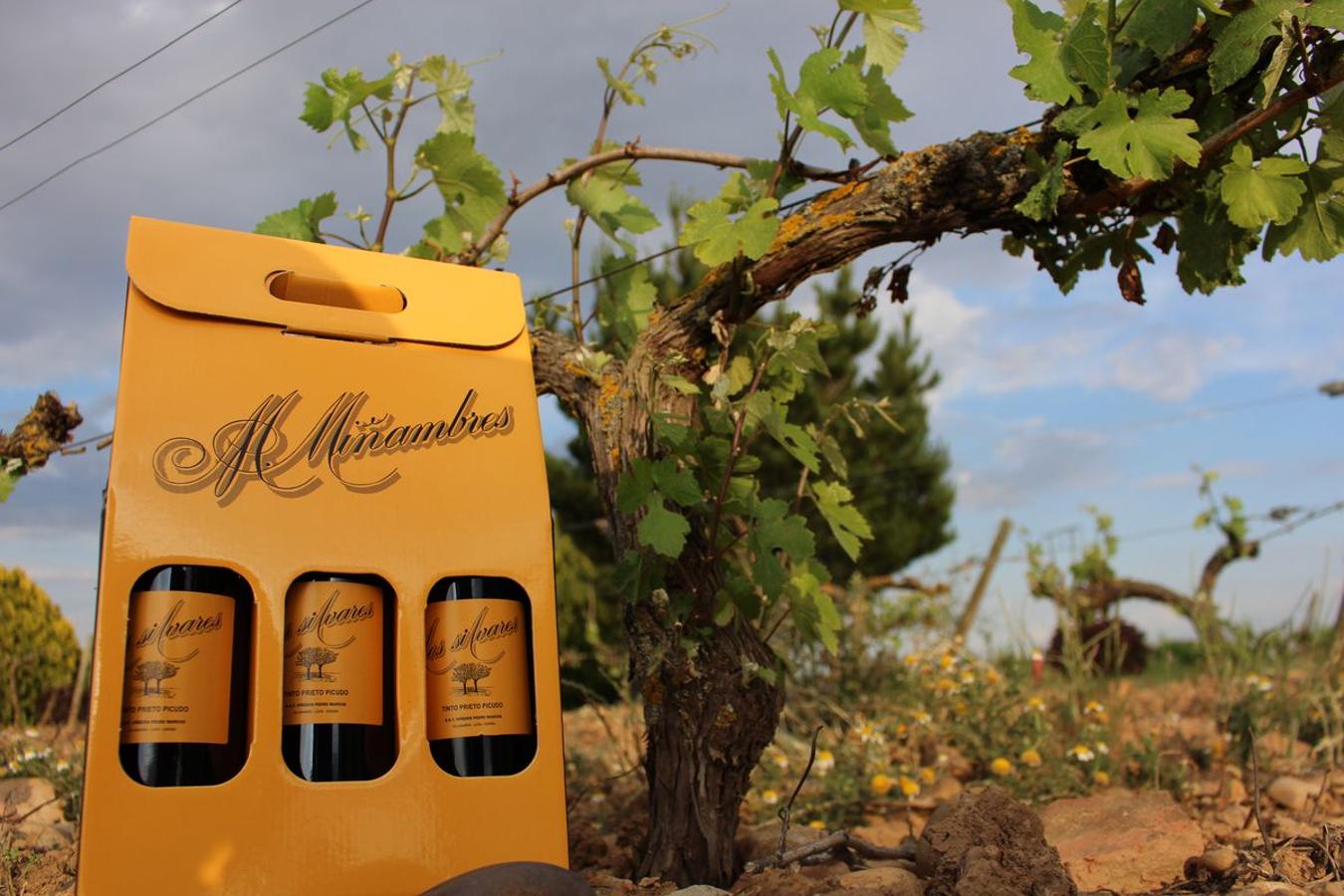 Cuarta generación, la misma pasión