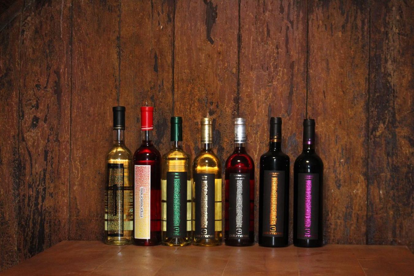 Tradición y saber hacer