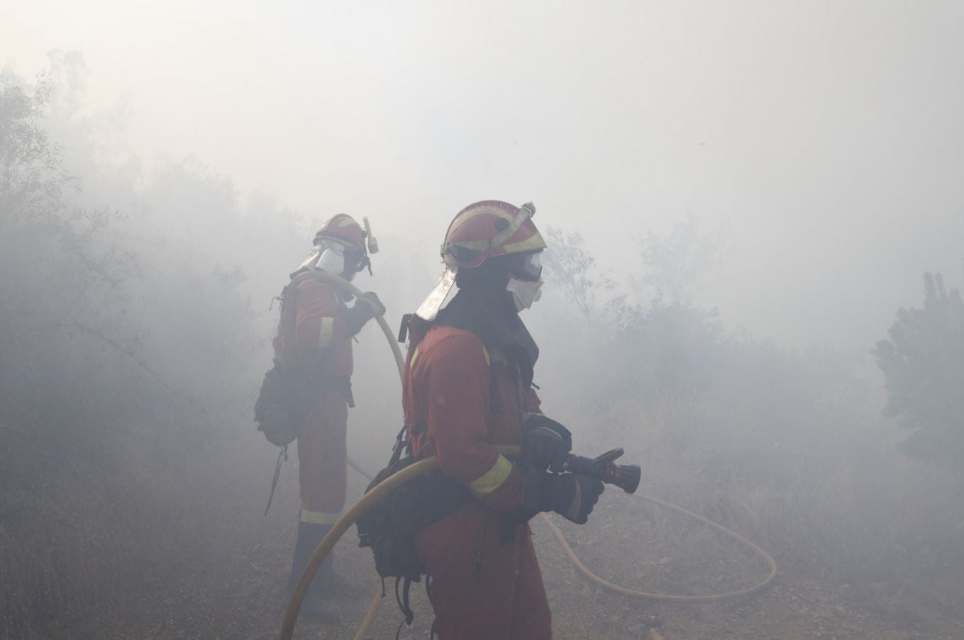 Los efectivos leoneses auxilian a Portugal atacando un frente situado a 20 kilómetros al sur de Coimbra en la localidad de Cernache do Bonjardim | Allí han logrado remitir el avance de las llamas