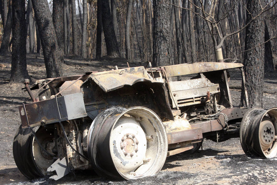 Los expertos ven en este incendio un aviso de lo que puede suceder en España. «Si no llueve va a ser realmente duro»