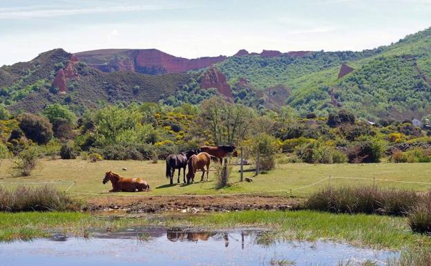 Villafranca acogerá un curso para descubrir el patrimonio natural del Bierzo