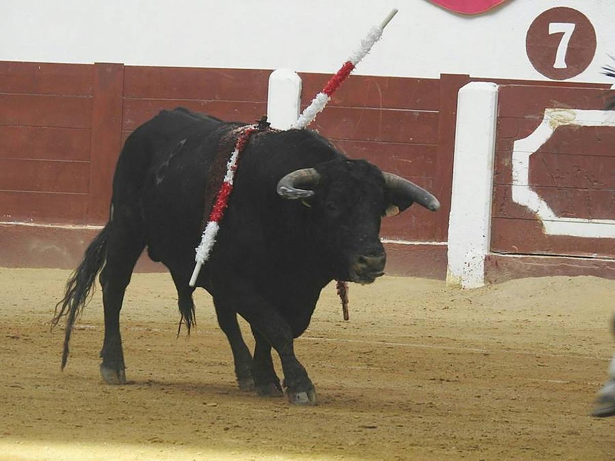 Las mejores imágenes de la corrida de rejones (I)