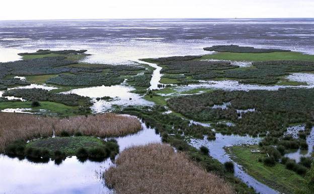 Vistas generales del Parque Nacional de Doñana, en Huelva .