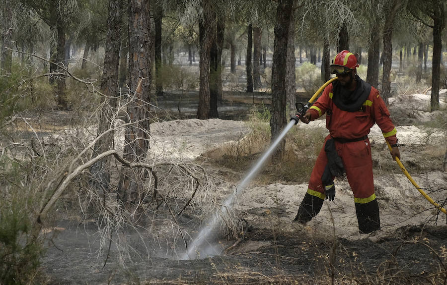 Las llamas ya han entrado en el Espacio Natural de Doñana y el fuego ha obligado a desalojar a más de 2.000 personas.