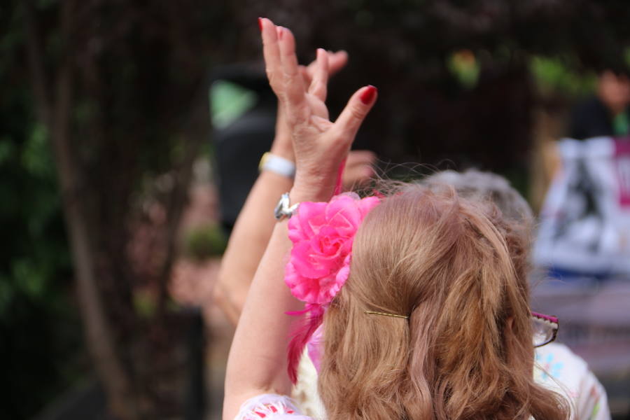 Ritmo flamenco en León