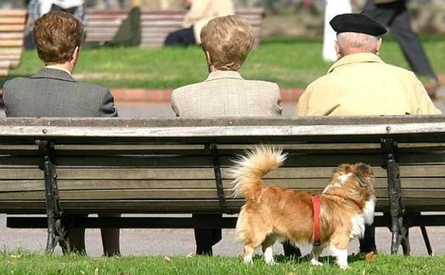 La población de más de 80 años se ha disparado un 300% en cuatro décadas en León. 