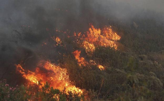 Vista aérea del incendio en Minas de Riotinto, en Huelva. 