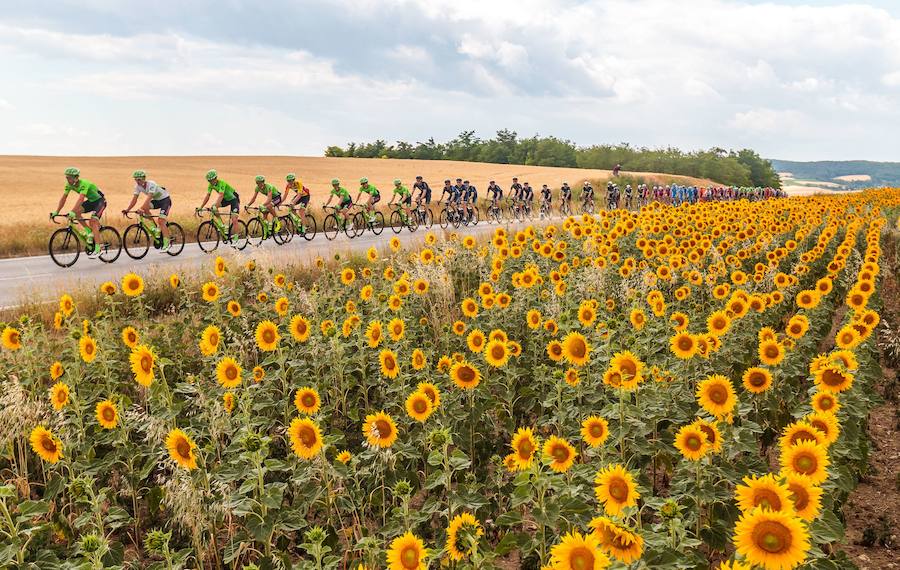 Arnaud Démare se llevó el triunfo en un sprint marcado por el codazo de Sagan a Cavendish y su posterior expulsión del Tour de Francia.