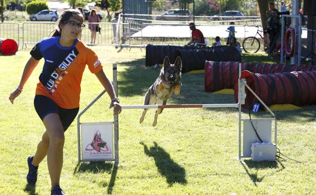 II Trofeo de Agility Reino de León celebrado en Veguellina de Órbigo.