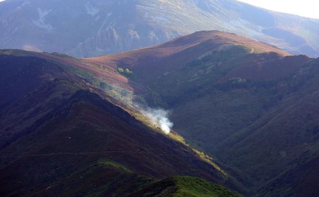 El Gobierno destina 250.000 euros para retirar la madera quemada en el incendio de la Tebaida