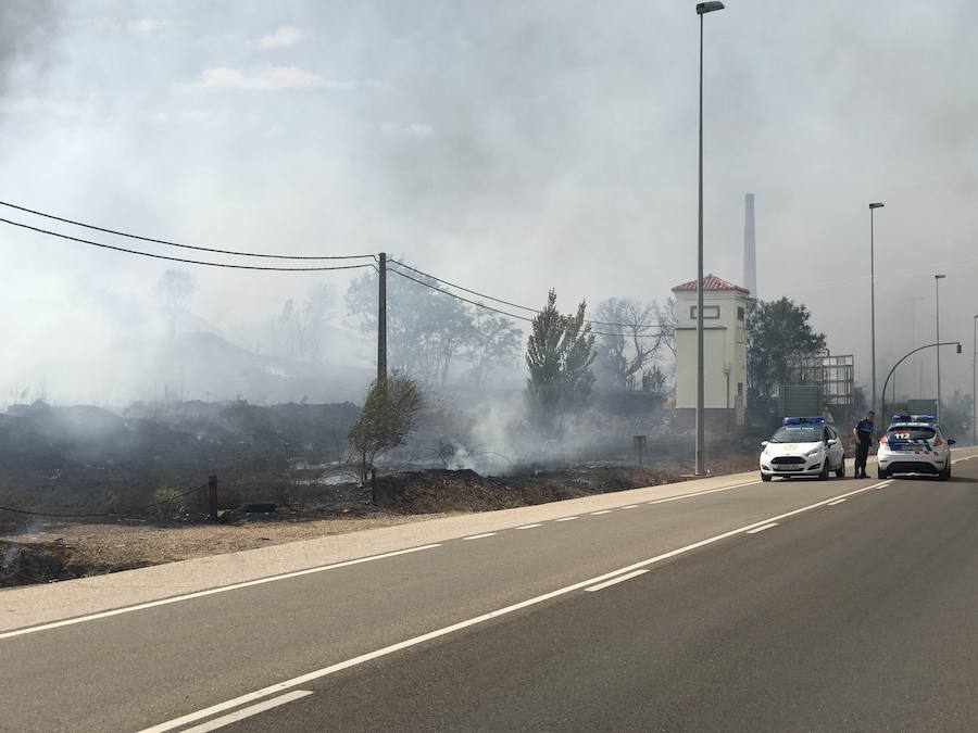 Imágenes del Incendio que amenazó el norte de León I