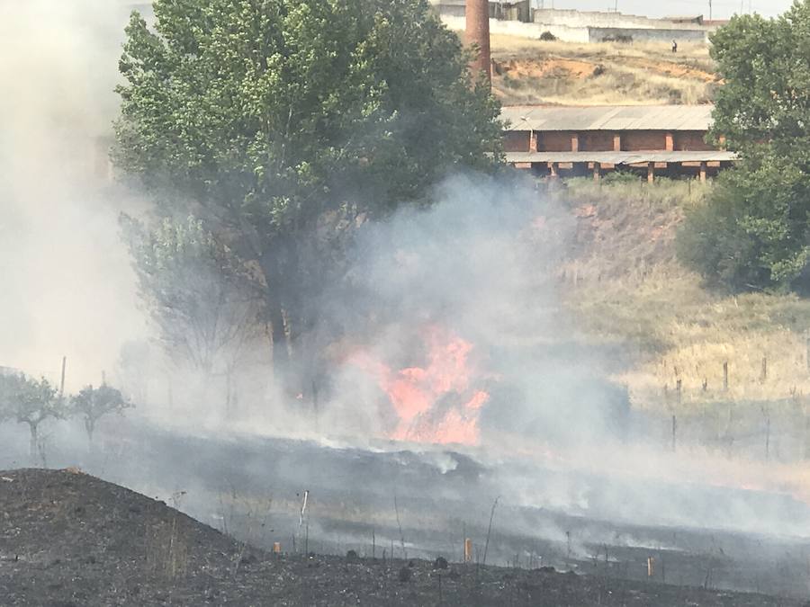 Imágenes del Incendio que amenazó el norte de León I