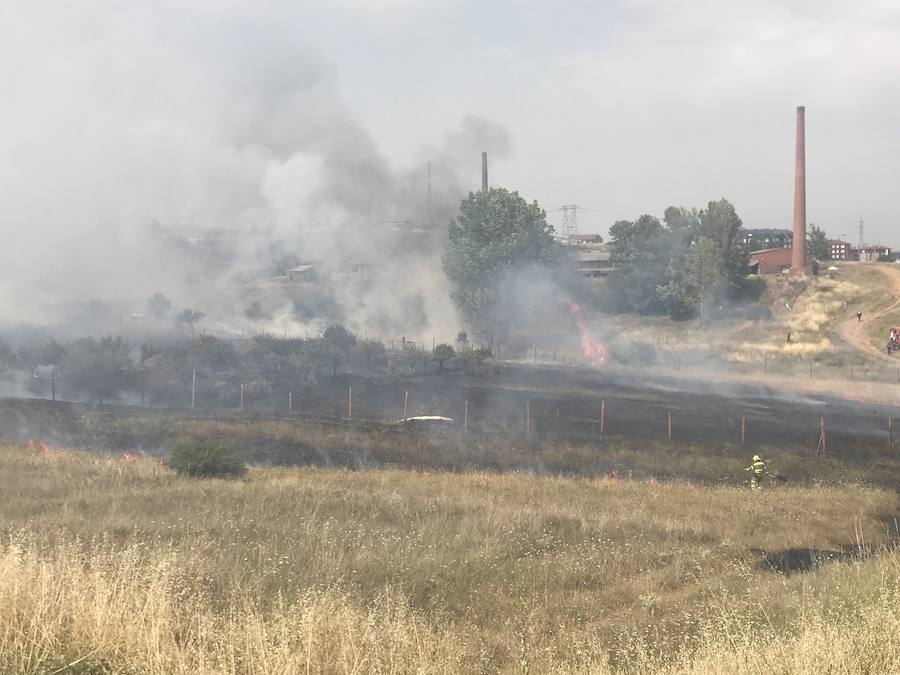 Imágenes del Incendio que amenazó el norte de León I