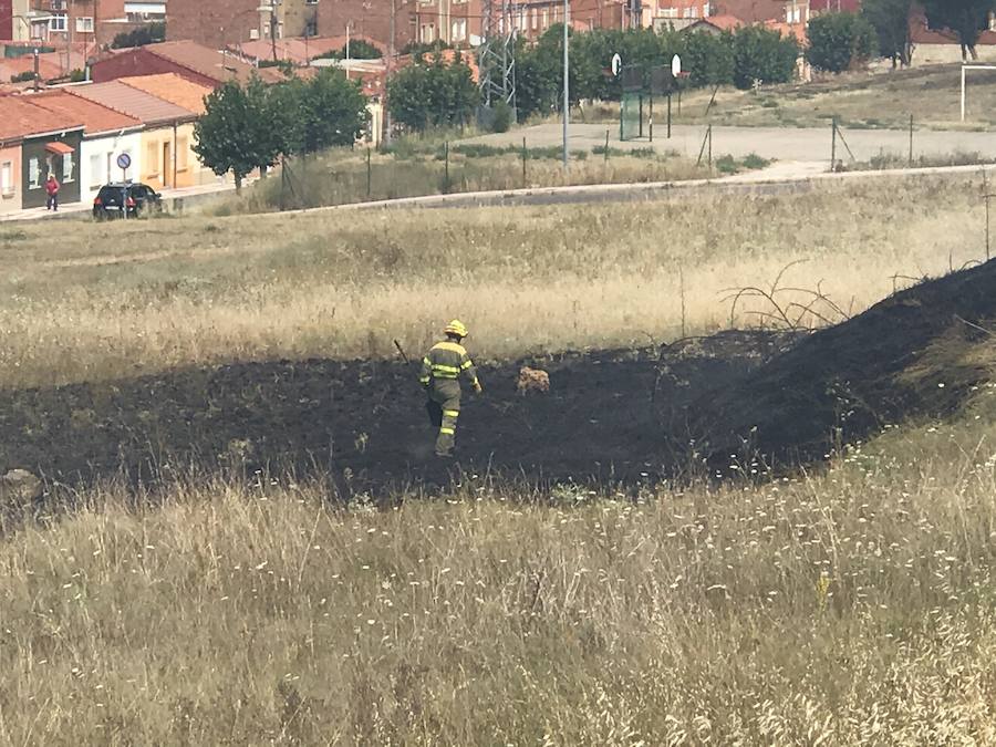 Imágenes del Incendio que amenazó el norte de León I