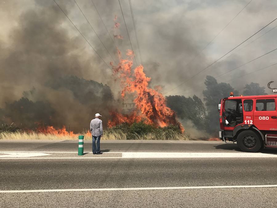 Imágenes del Incendio que amenazó el norte de León I