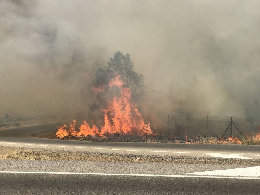 Imágenes del Incendio que amenazó el norte de León I