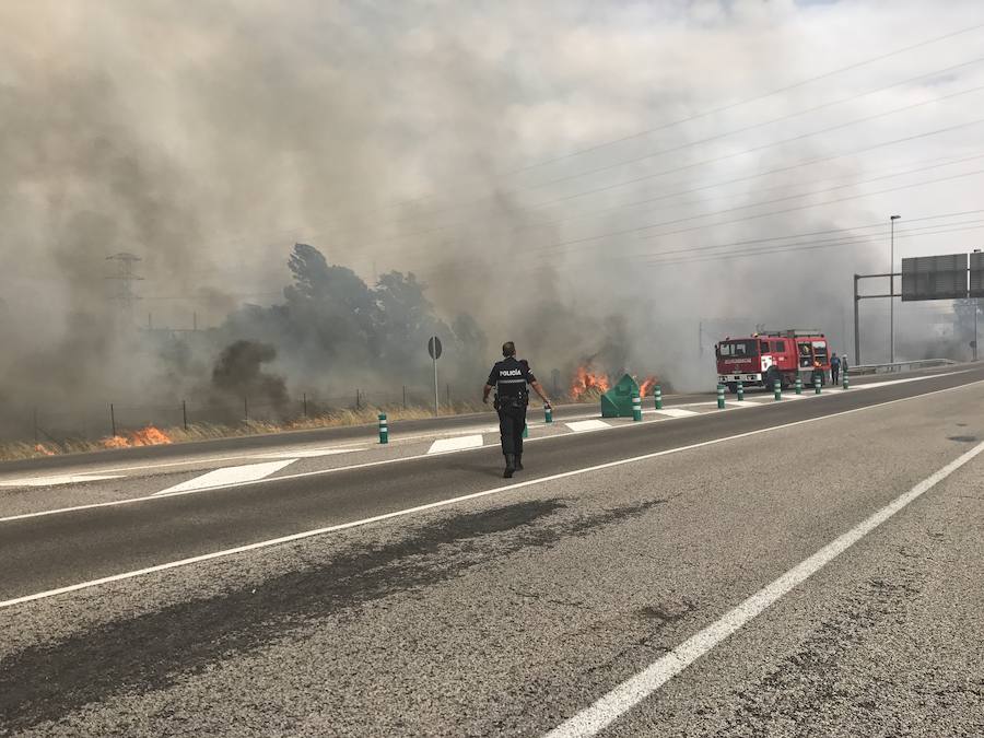 Imágenes del Incendio que amenazó el norte de León I