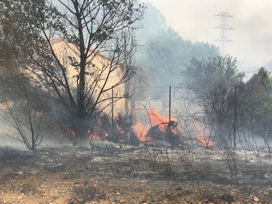 Imágenes del Incendio que amenazó el norte de León II