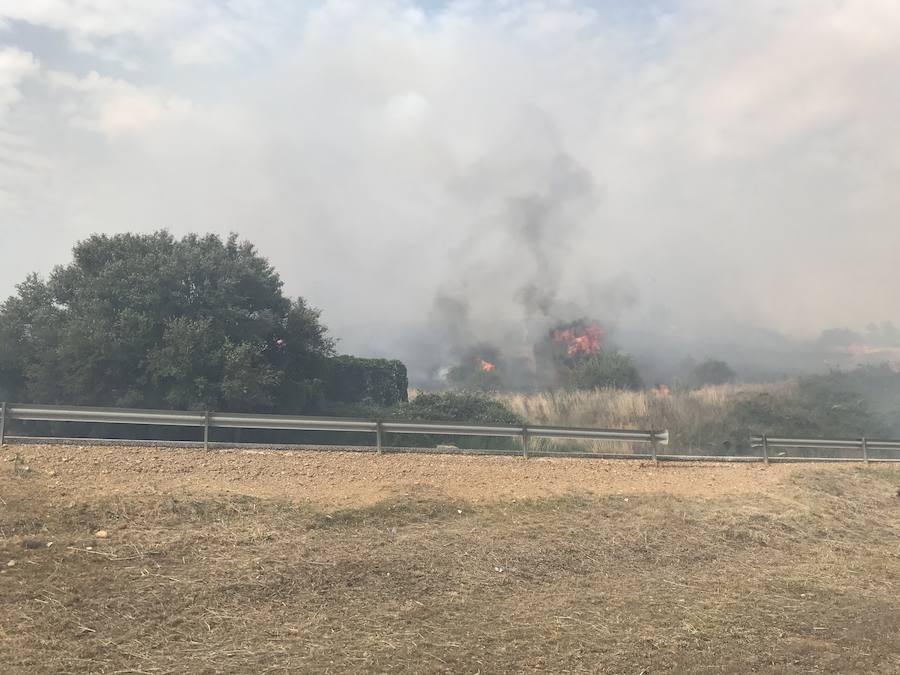 Imágenes del Incendio que amenazó el norte de León II