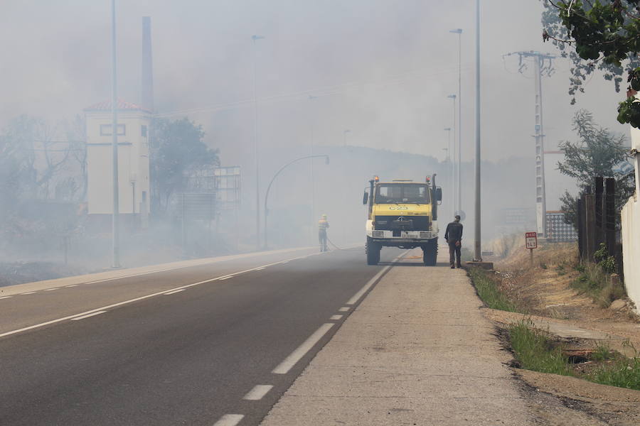 Imágenes del Incendio que amenazó el norte de León III