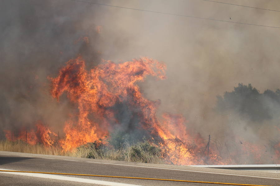 Imágenes del Incendio que amenazó el norte de León IV