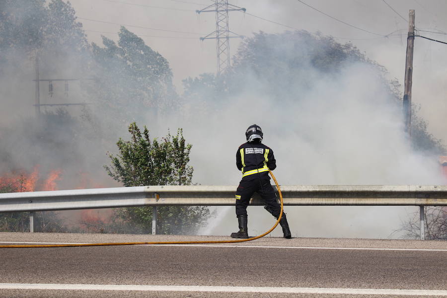 Imágenes del Incendio que amenazó el norte de León IV