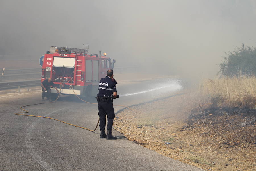 Imágenes del Incendio que amenazó el norte de León IV