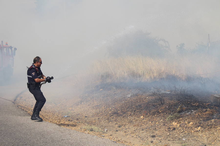 Imágenes del Incendio que amenazó el norte de León IV