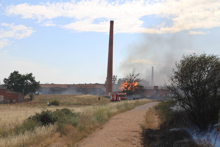 Imágenes del Incendio que amenazó el norte de León IV