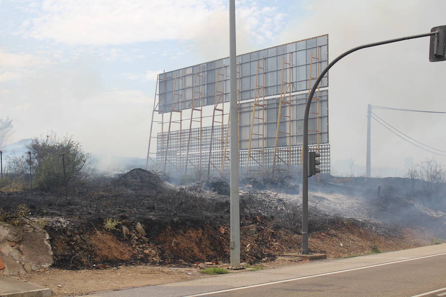 Imágenes del Incendio que amenazó el norte de León IV