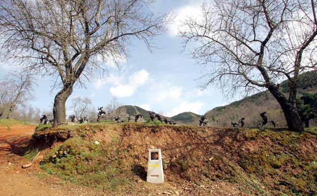 Hito del Camino de Santiago de Invierno junto a viñedos de la Denominación de Origen del Bierzo.