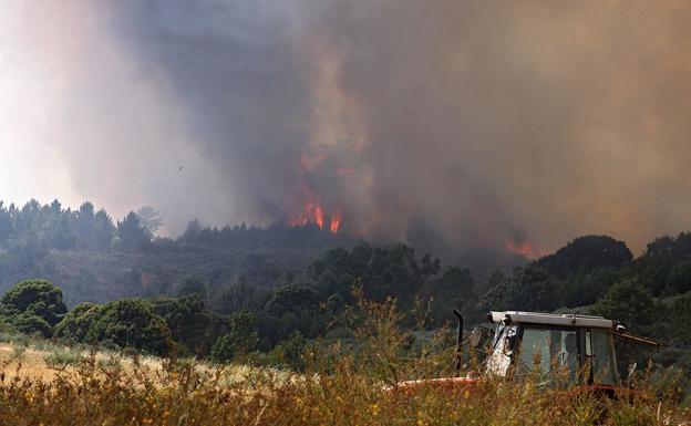 Incendio en Quintana del Castillo.