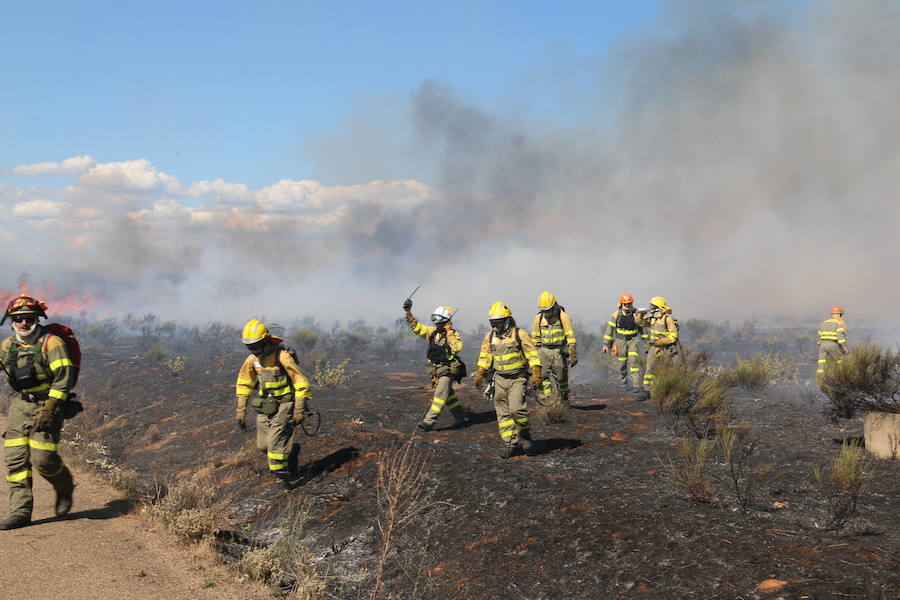 El fuego se ha originado minutos antes de las 16:21 horas en la calle de Valdeperal que conecta el Real Aéreo Club con la carretera del matadero en el polígono industrial de Trobajo del Camino, concretamente en la parte trasera de la vacía factoría de Everest, que se ha visto seriamente amenazada por las llamas